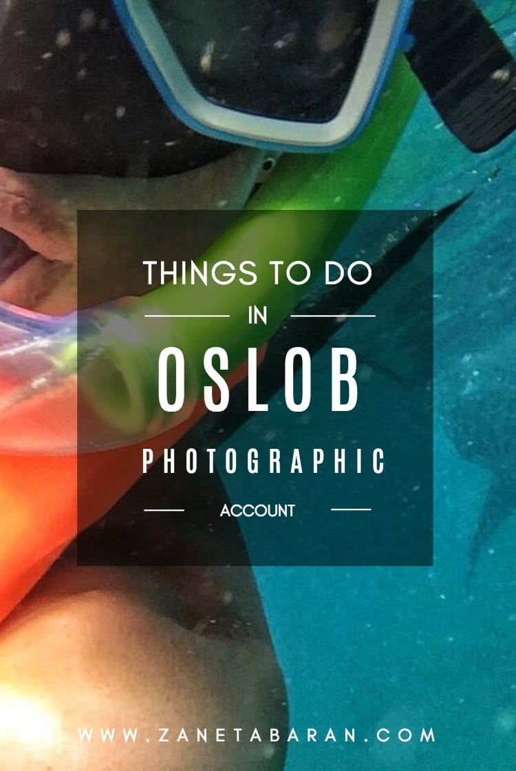 Printerest Things To Do in Oslob – Photographic Account