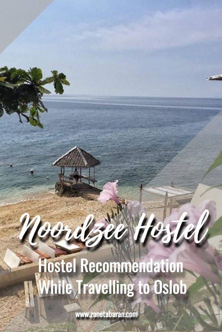 Pinterest Hostel Recommendation When Travelling to Oslob – Noordzee Hostel