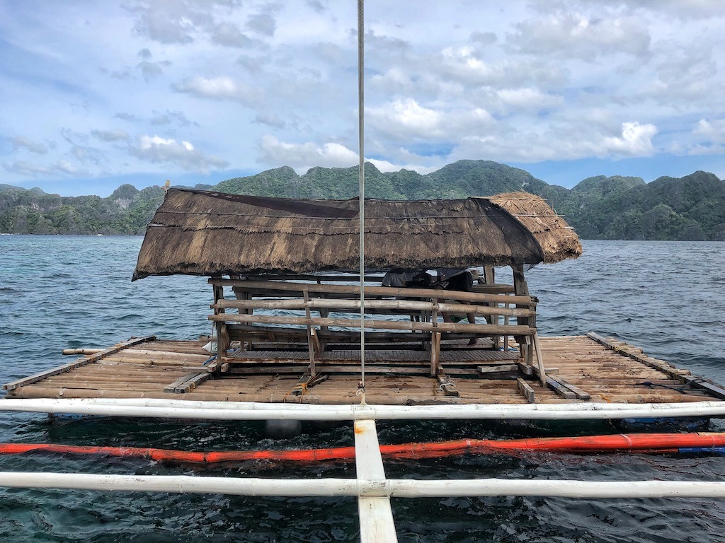 Things To Do in Coron While Raining Season – Photographic Account Garden Reef Coral