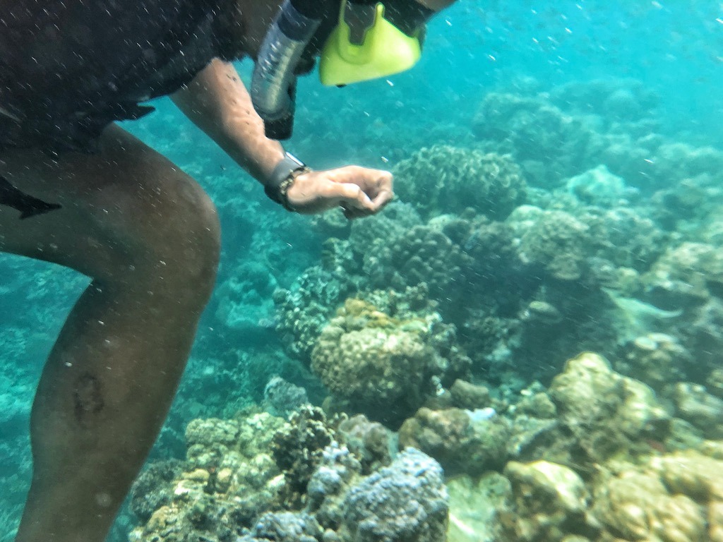 Things To Do in Coron While Raining Season – Photographic Account Japanese Ship Wreck Snorkeling