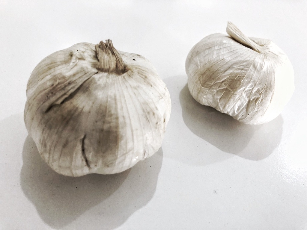 Garlic