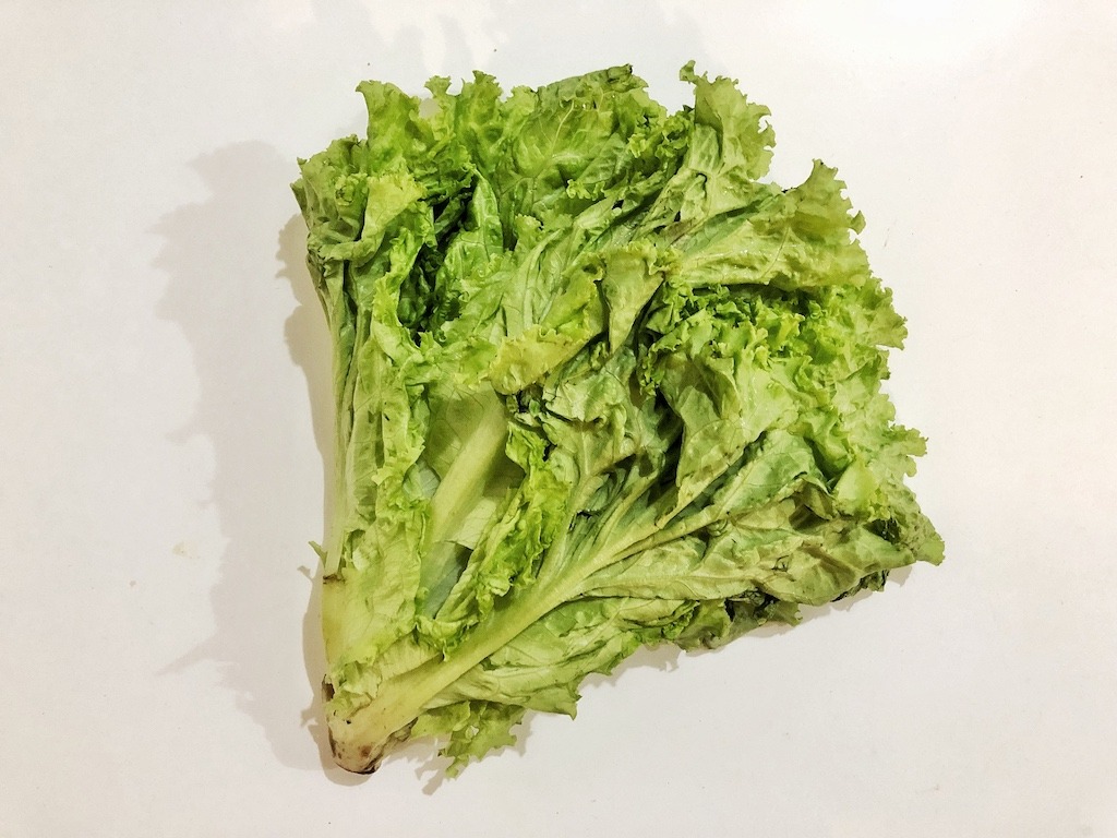 Lettuce