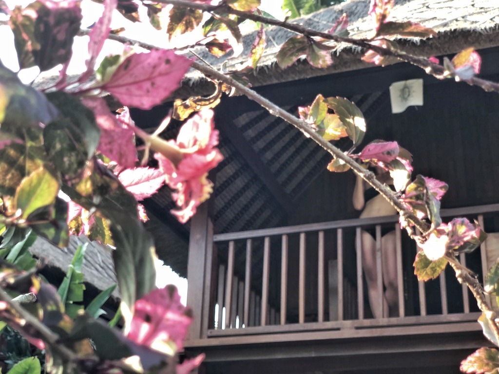 Hostel Recommendation While Travelling to Nusa Lembongan – Sukanusa Luxury Huts Flowers