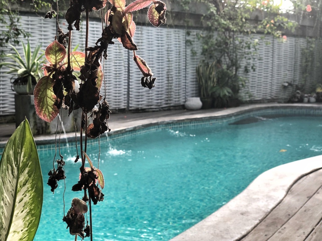 Hostel Recommendation While Travelling to Seminyak – Kosta Hostel Must See