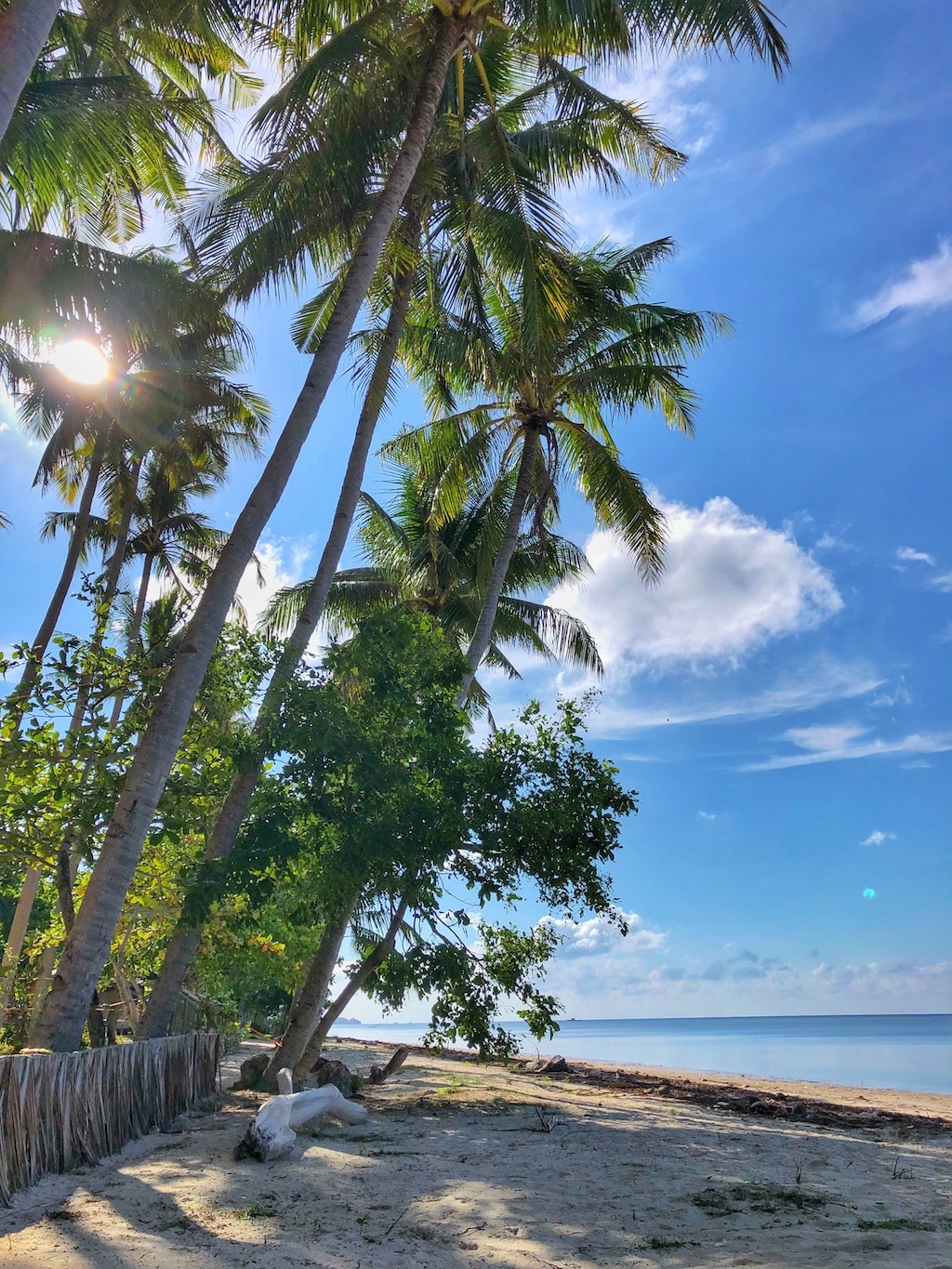 Where to stay when travelling to Siquijor – Glamping Siquijor Beach ...