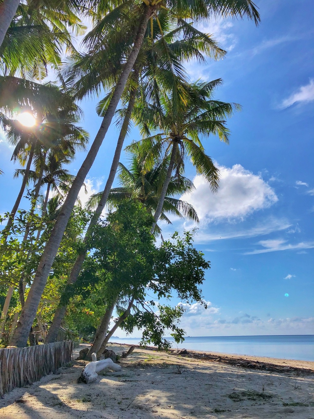 Where to stay when travelling to Siquijor – Glamping Siquijor Beach View