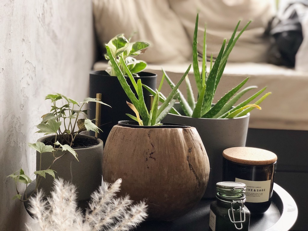 Bedroom Decor Plant Table- Interior Design